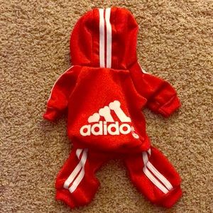 Adidog Dog Tracksuit outfit.